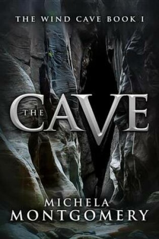 Cover of The Cave