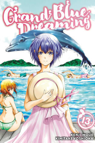 Cover of Grand Blue Dreaming 13