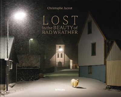 Cover of Lost in the Beauty of Bad Weather