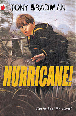 Book cover for Hurricane!