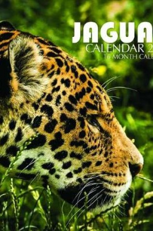 Cover of Jaguar Calendar 2019