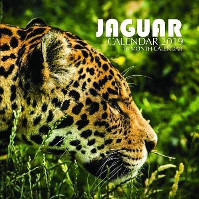 Book cover for Jaguar Calendar 2019