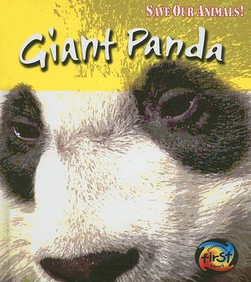 Book cover for Giant Panda
