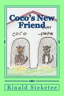 Book cover for Coco's New Friend