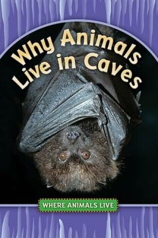 Cover of Why Animals Live in Caves
