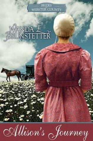 Cover of Allison's Journey
