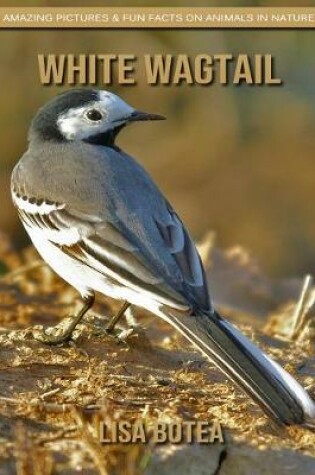 Cover of White Wagtail