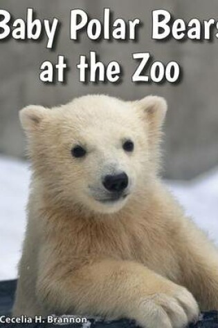 Cover of Baby Polar Bears at the Zoo