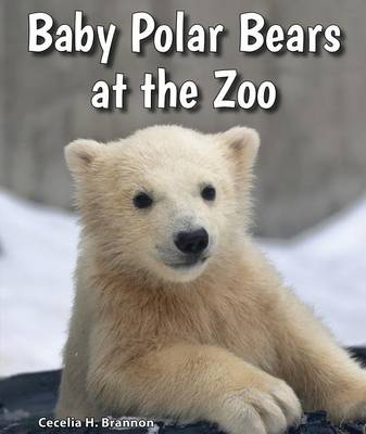 Book cover for Baby Polar Bears at the Zoo