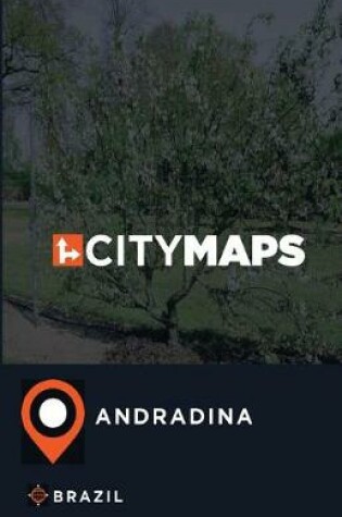 Cover of City Maps Andradina Brazil