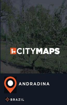 Book cover for City Maps Andradina Brazil