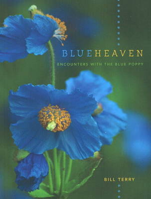 Book cover for Blue Heaven