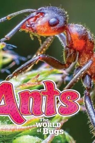 Cover of Ants