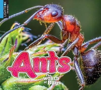 Cover of Ants