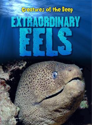 Book cover for Extraordinary Eels