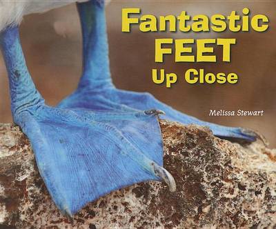 Cover of Fantastic Feet Up Close