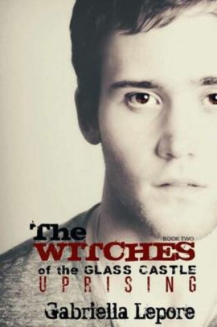 Cover of The Witches of Glass Castle