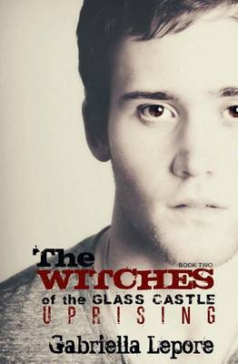 Book cover for The Witches of Glass Castle