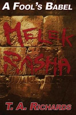 Cover of A FOOL'S BABEL - Melek Rasha