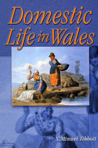 Cover of Domestic Life in Wales