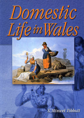 Book cover for Domestic Life in Wales