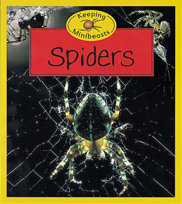 Book cover for Spiders