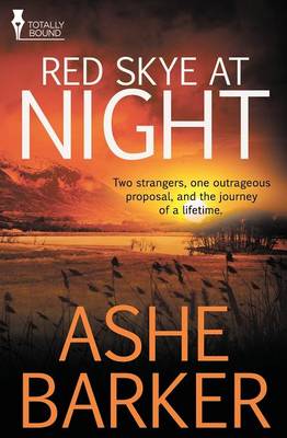 Book cover for Red Skye at Night