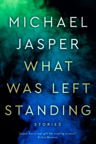 Cover of What Was Left Standing