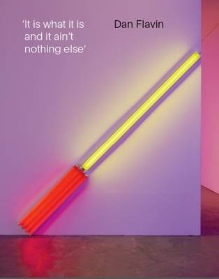 Book cover for Dan Flavin