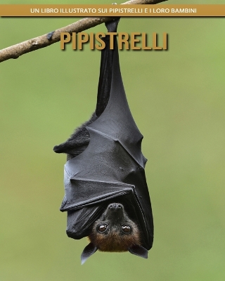 Book cover for Pipistrelli