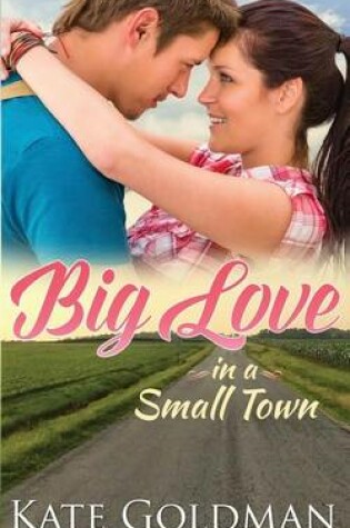 Cover of Big Love in a Small Town