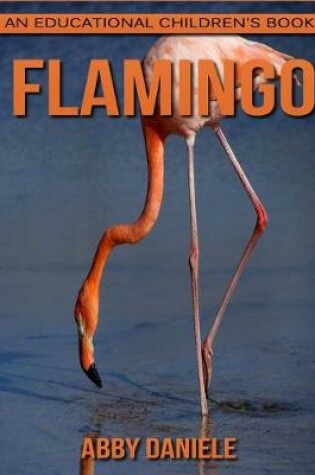 Cover of Flamingo! An Educational Children's Book about Flamingo with Fun Facts & Photos