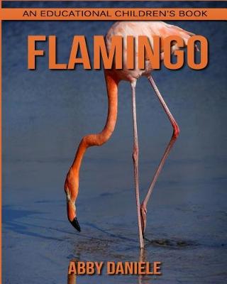 Book cover for Flamingo! An Educational Children's Book about Flamingo with Fun Facts & Photos