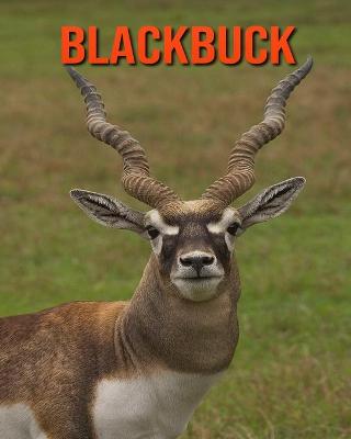 Book cover for Blackbuck