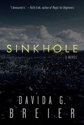 Book cover for Sinkhole