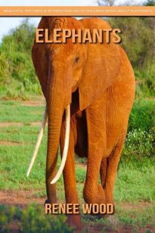 Cover of Elephants