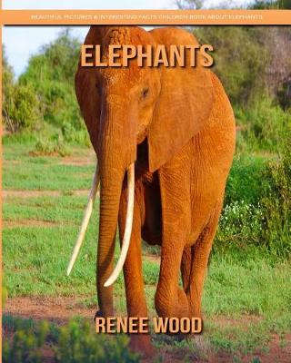 Book cover for Elephants