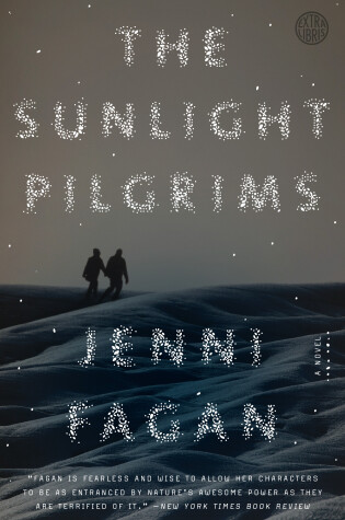 Cover of The Sunlight Pilgrims