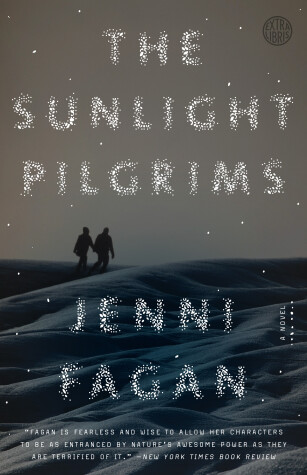 Book cover for The Sunlight Pilgrims