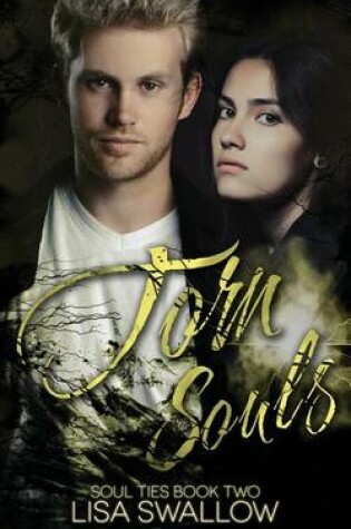 Cover of Torn Souls