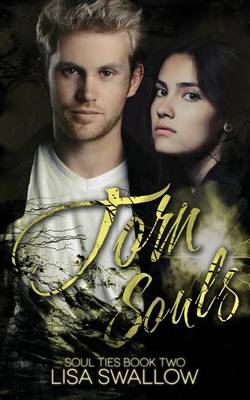 Book cover for Torn Souls