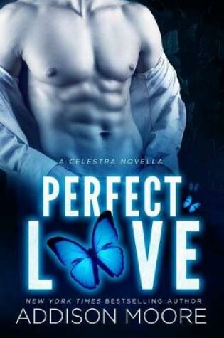 Cover of Perfect Love