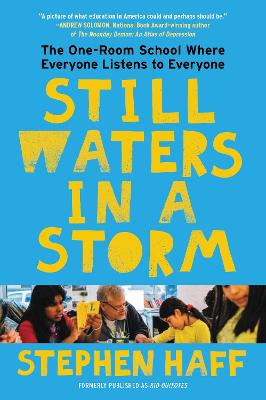 Book cover for Still Waters in a Storm