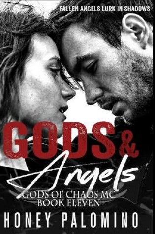 Cover of Gods & Angels