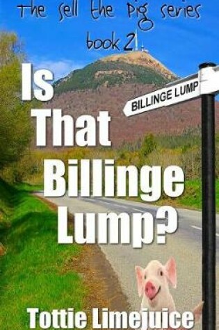 Cover of Is that Billinge Lump?