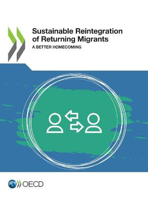 Book cover for Sustainable reintegration of returning migrants