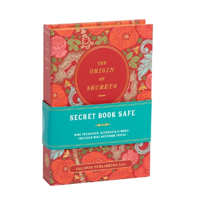 Book cover for The Origin Of Secrets Book Safe