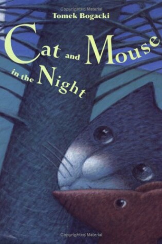 Cover of Cat and Mouse in the Night