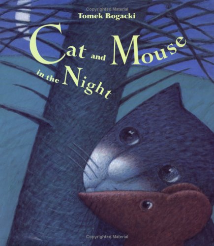 Book cover for Cat and Mouse in the Night