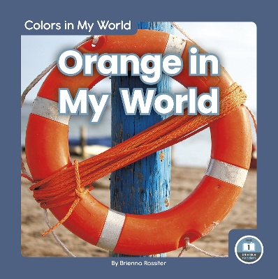 Book cover for Colors in My World: Orange in My World